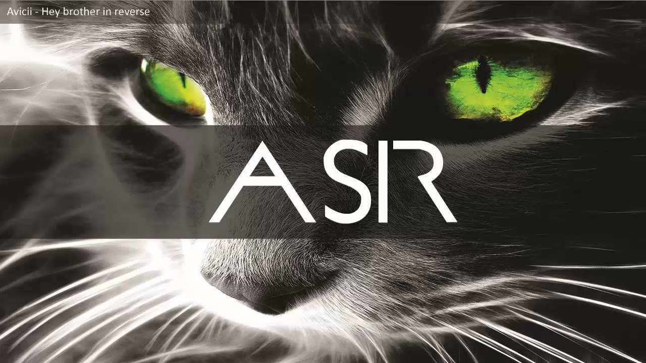 Avicii - Hey brother in reverse