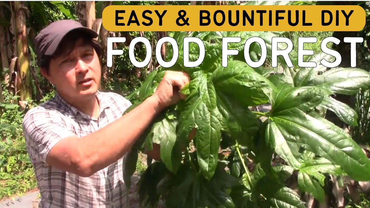 Florida Food Forest DIY: Grow Your Own Tropical Edible Garden Paradise