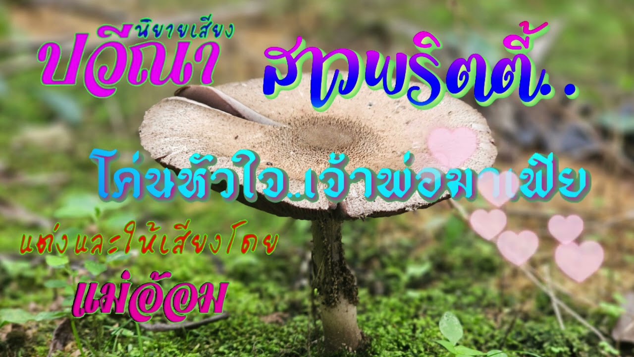 สาวพริตตี้..โค่นหัวใจเจ้าพ่อมาเฟีย(จบในตอน) #นิยายเสียง #meeaom