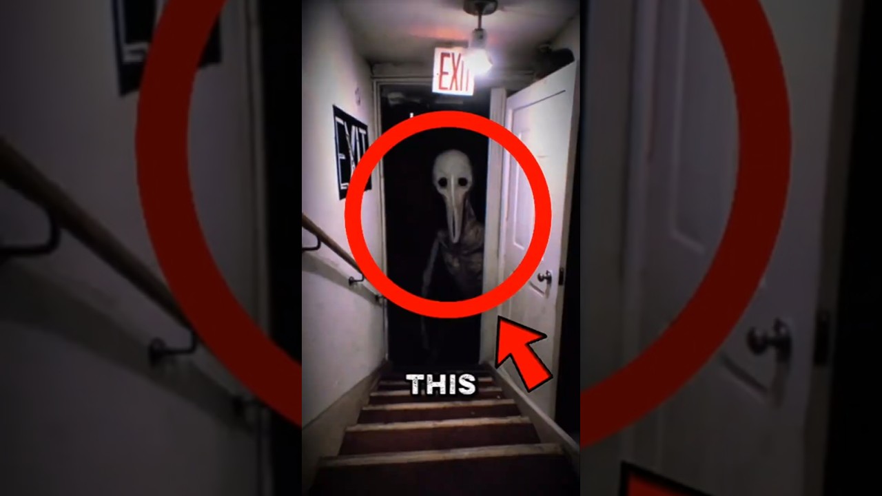 If you ever see this terrifying creature inside your home. just run ‼️😱