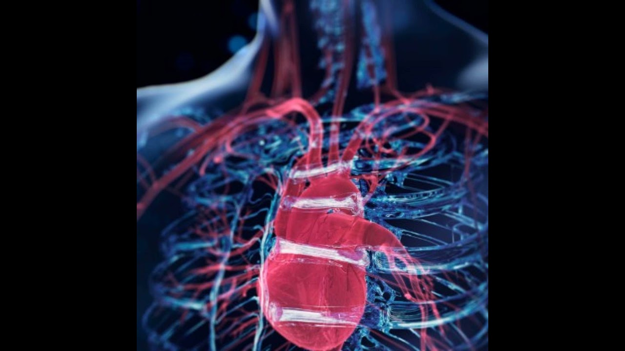 Ep131: The semantics of CPR