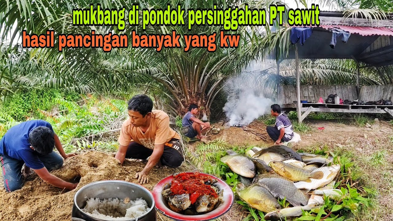 KALAU MAU DAPAT BANYAK, IKANNYA JANGAN DI PILIH PILIH, GORENG BECEK BALADO BIKIN PAKCIK WAAHH..