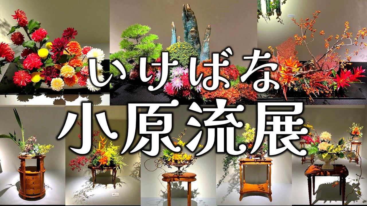 🌺いけばな小原流展 つなぐ🌺（後期）小原流東京支部創立100周年記念