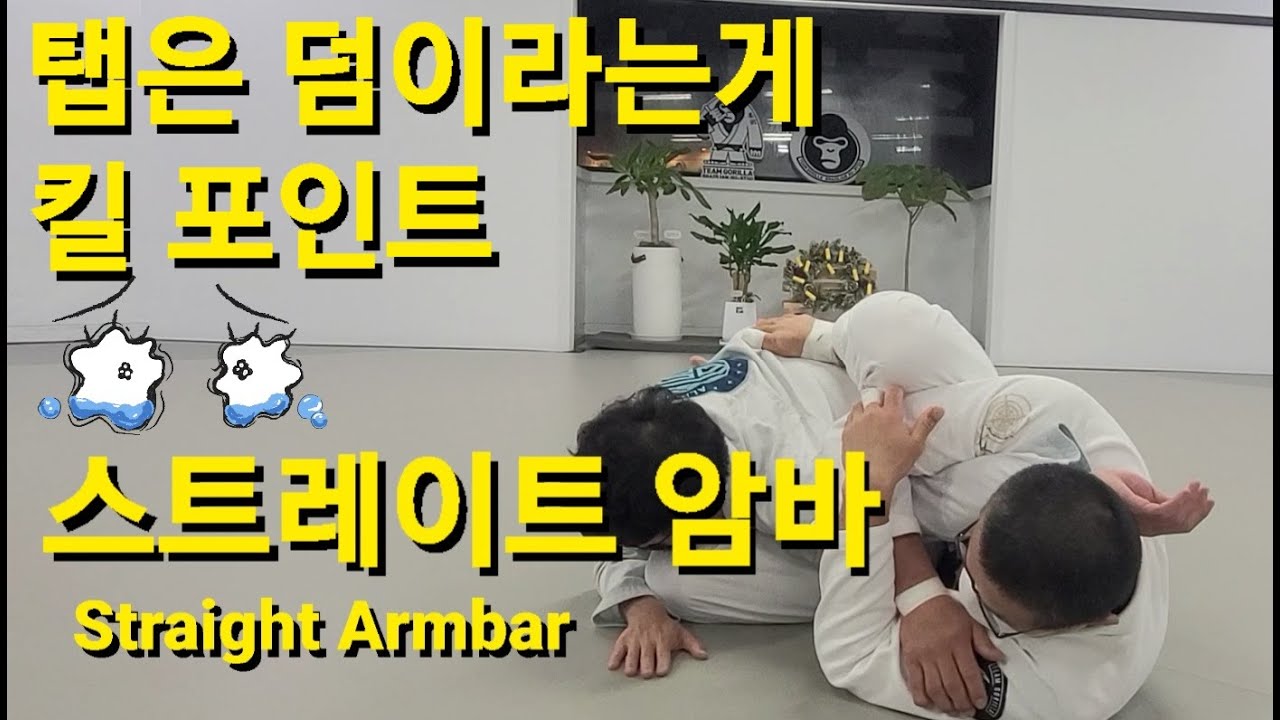 스트레이트 암바 Straight Armbar (기술도움 : 김태운)