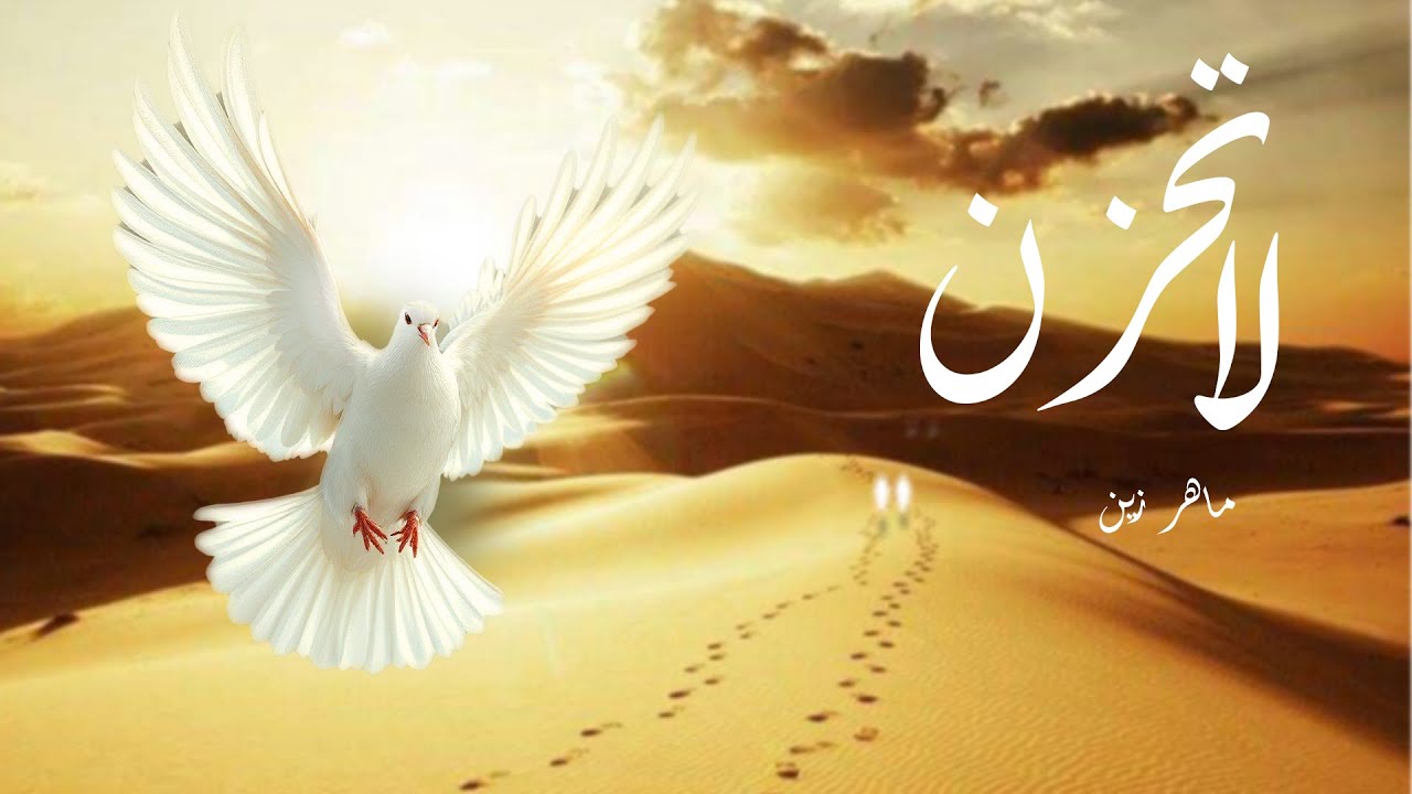 بث مباشر | Maher Zain - La Tahzan (Vocals Only) | ماهر زين - لا تَحزَن