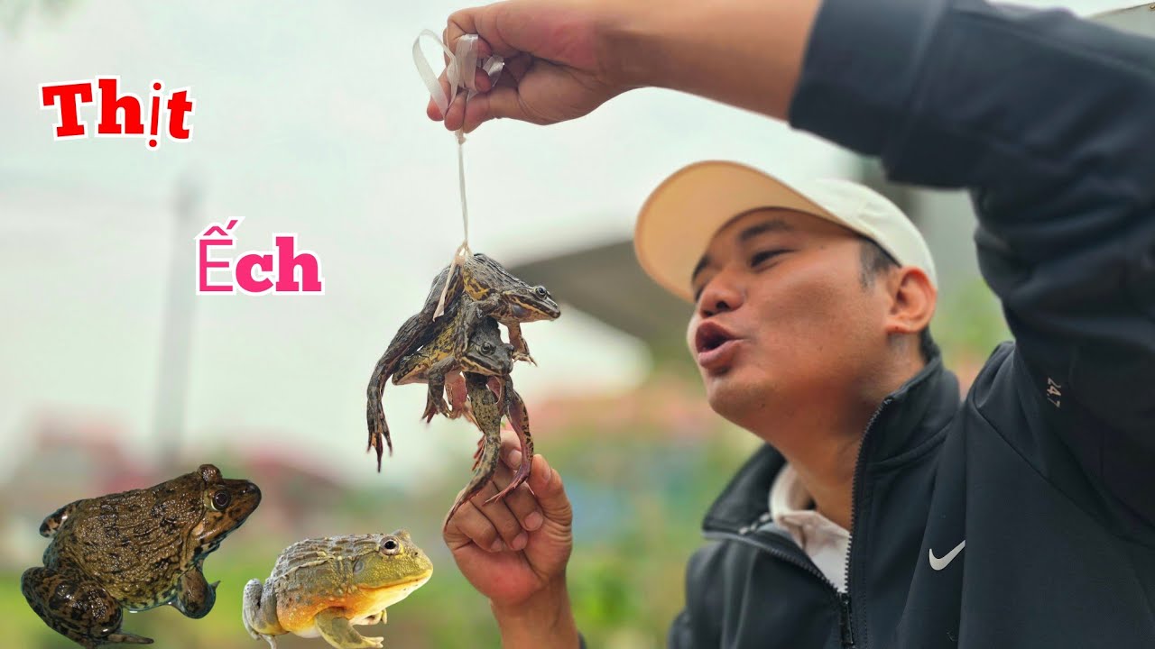 1 Ngày Thu Hoạch Đầy Cá Và Kiếm Được Bữa Ếch Xào Ngon Vô Đối...