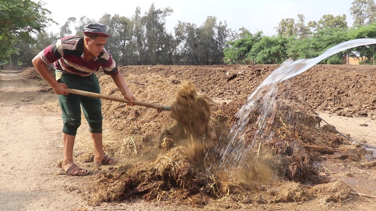 Converting to organic farming