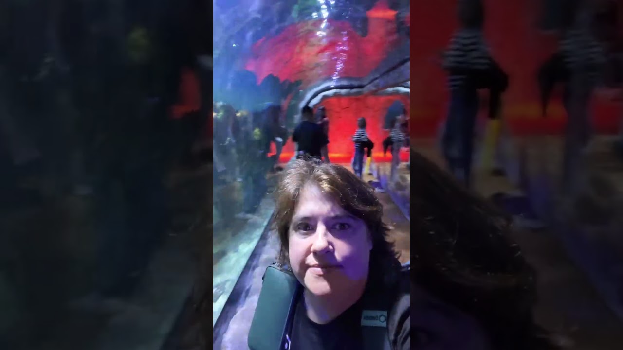 Acuario Ciudad de México 