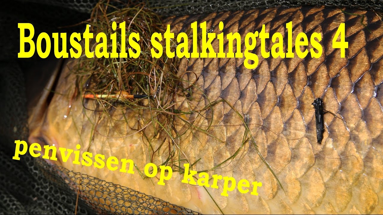 Penvissen op karper - Boustails Stalkingtales part 4