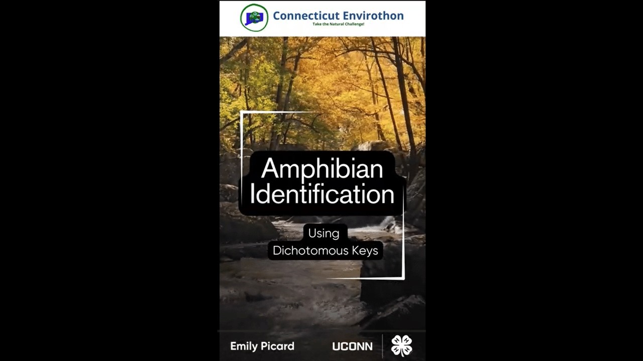Amphibian Identification: Using Dichotomous Keys