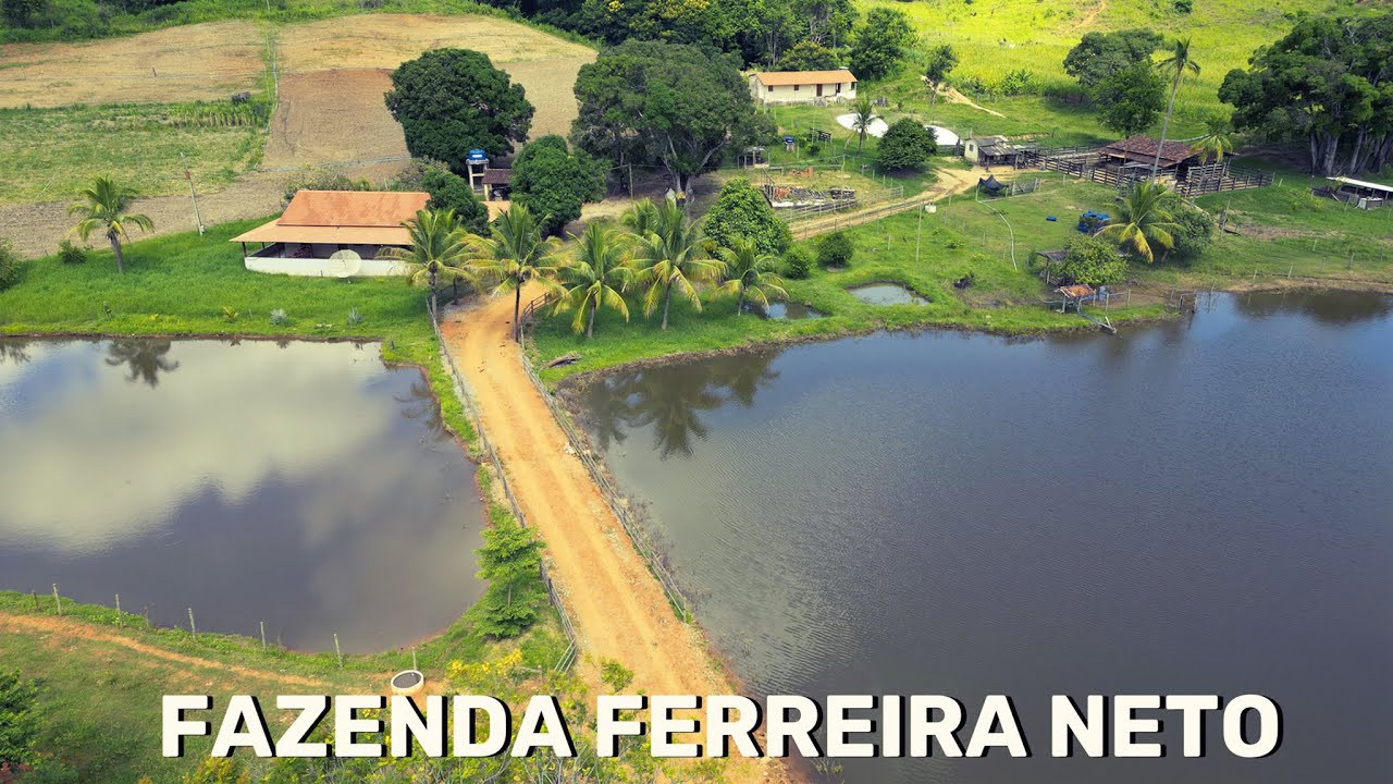 FAZENDA FERREIRA NETO (À VENDA)