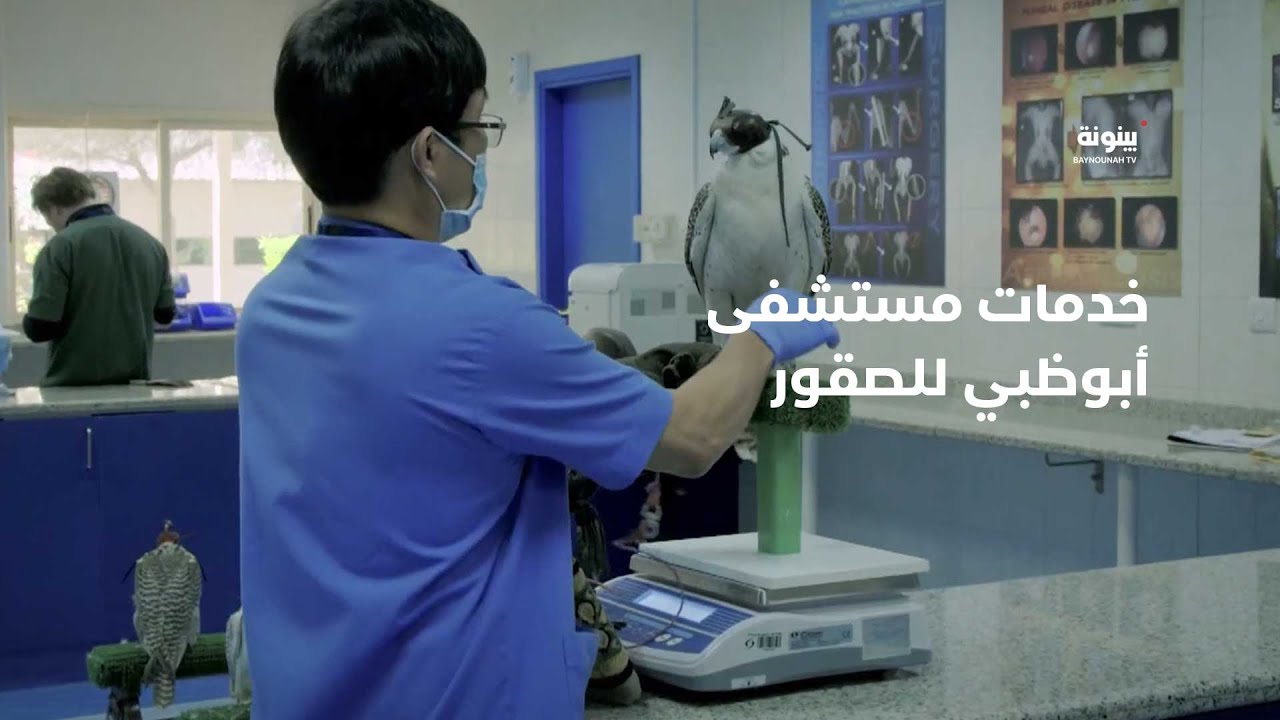 جولة لمعرفة أبرز خدمات 