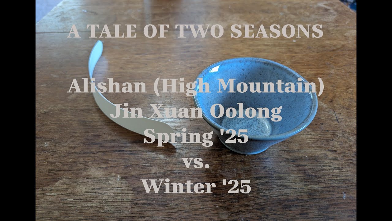Alishan (High Mountain) Jin Xuan Oolong (Spring ’25 vs. Autumn ’25)