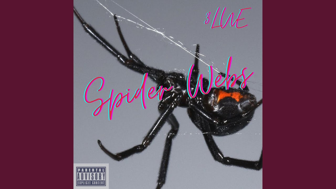 Spider Webs
