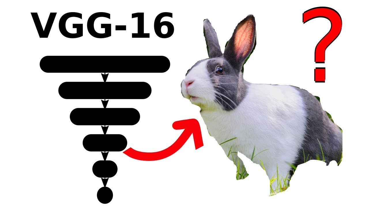 Forcing a Neural Network to imagine what a rabbit looks like