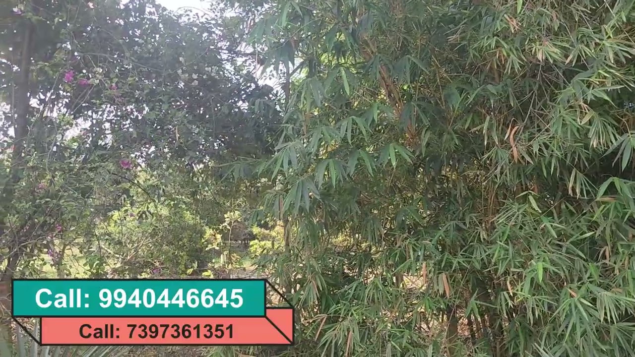 ID NO 2034 🏗️ Developer's Land for Sale Dream! 🛠️
