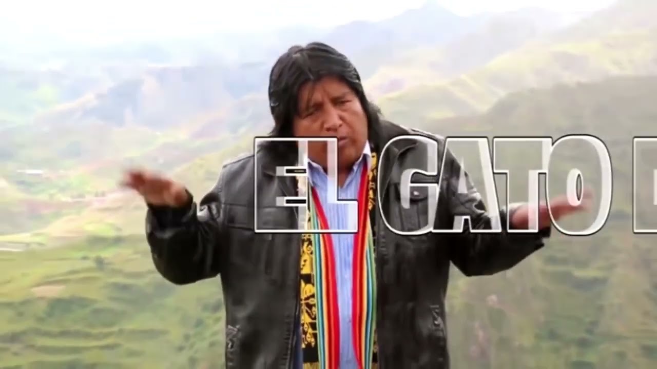 Gato Del Arpa - Aeroplano / Videoclip Oficial (Huayno Perú)