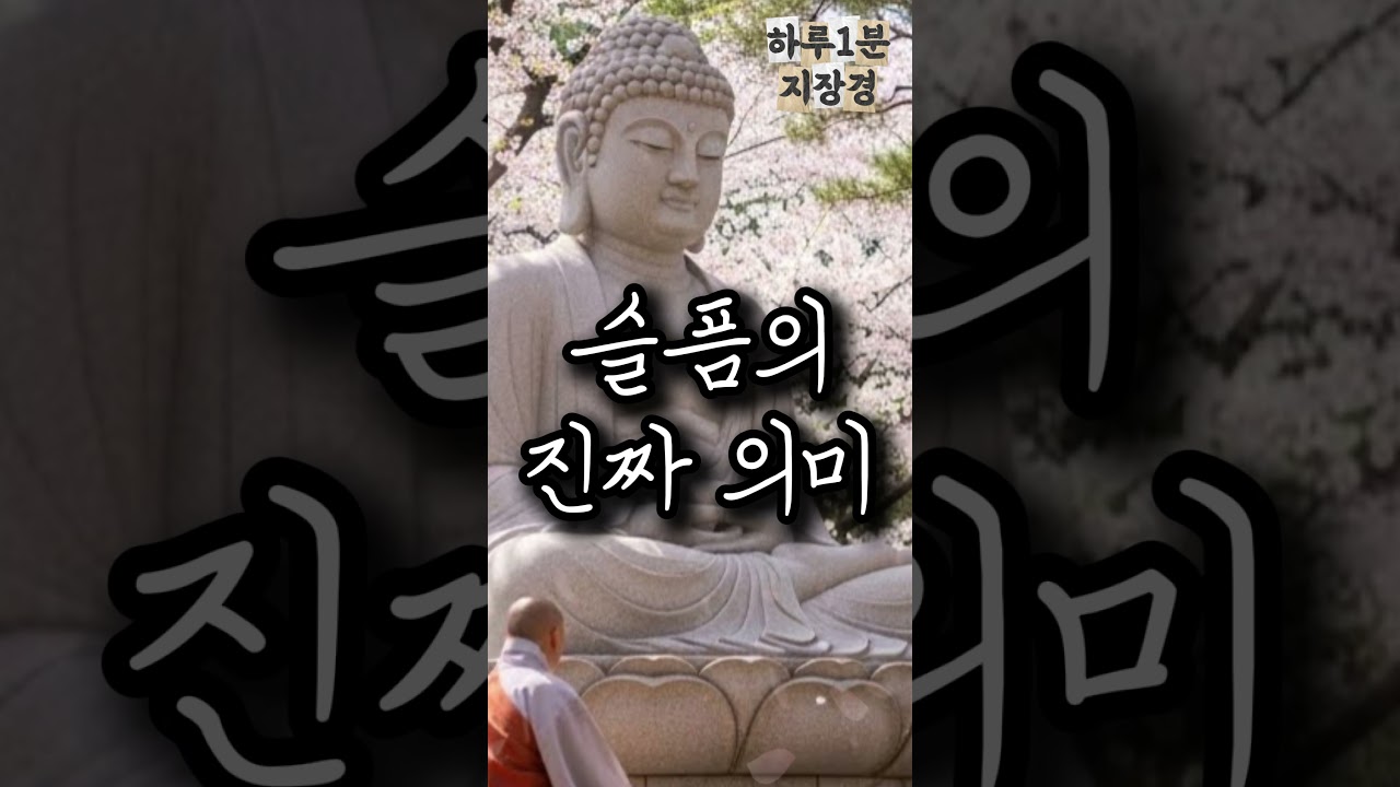 슬픔의 진짜 의미 #부처님말씀 #명언 #자기수행 #슬픔 #자비 #마음치유 #불교지혜 #이별