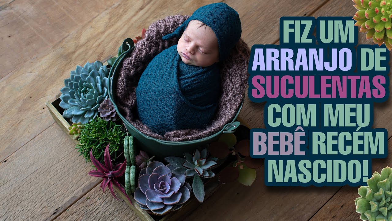 ENLOUQUECI! ARRANJO DE SUCULENTAS COM BEBÊ RECÉM NASCIDO - Ensaio fotográfico newborn