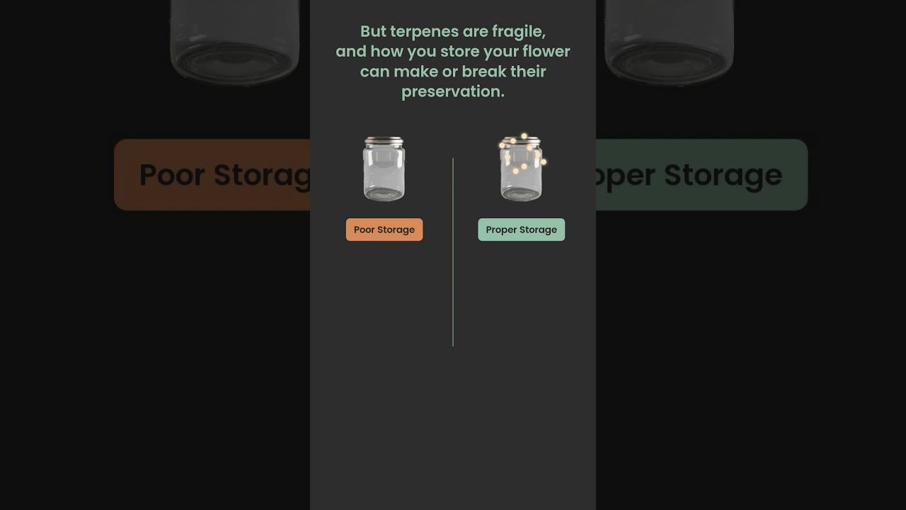 Terpene Preservation Secrets