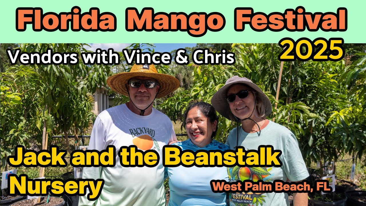 Vince and Chris Visit Florida Mango Festival 2025 Vendors! | Jack and the Beanstalk Nursery
