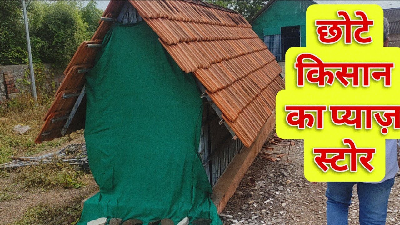 Small Farmer Onion Storage System |  छोटे किसान प्याज़ का भण्डार कैसे करें