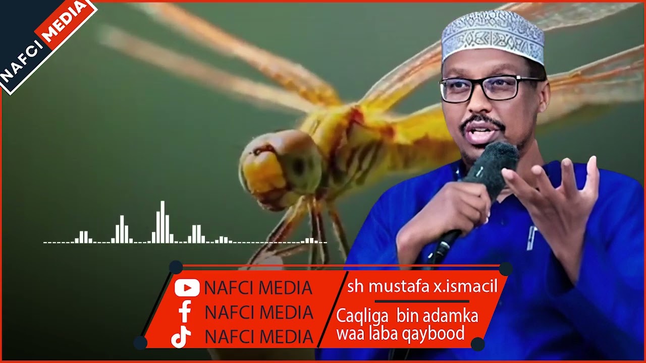 Caqliga Waa Laba Qaybood | Sheekh Mustafe X.Ismaaciil. #nafci