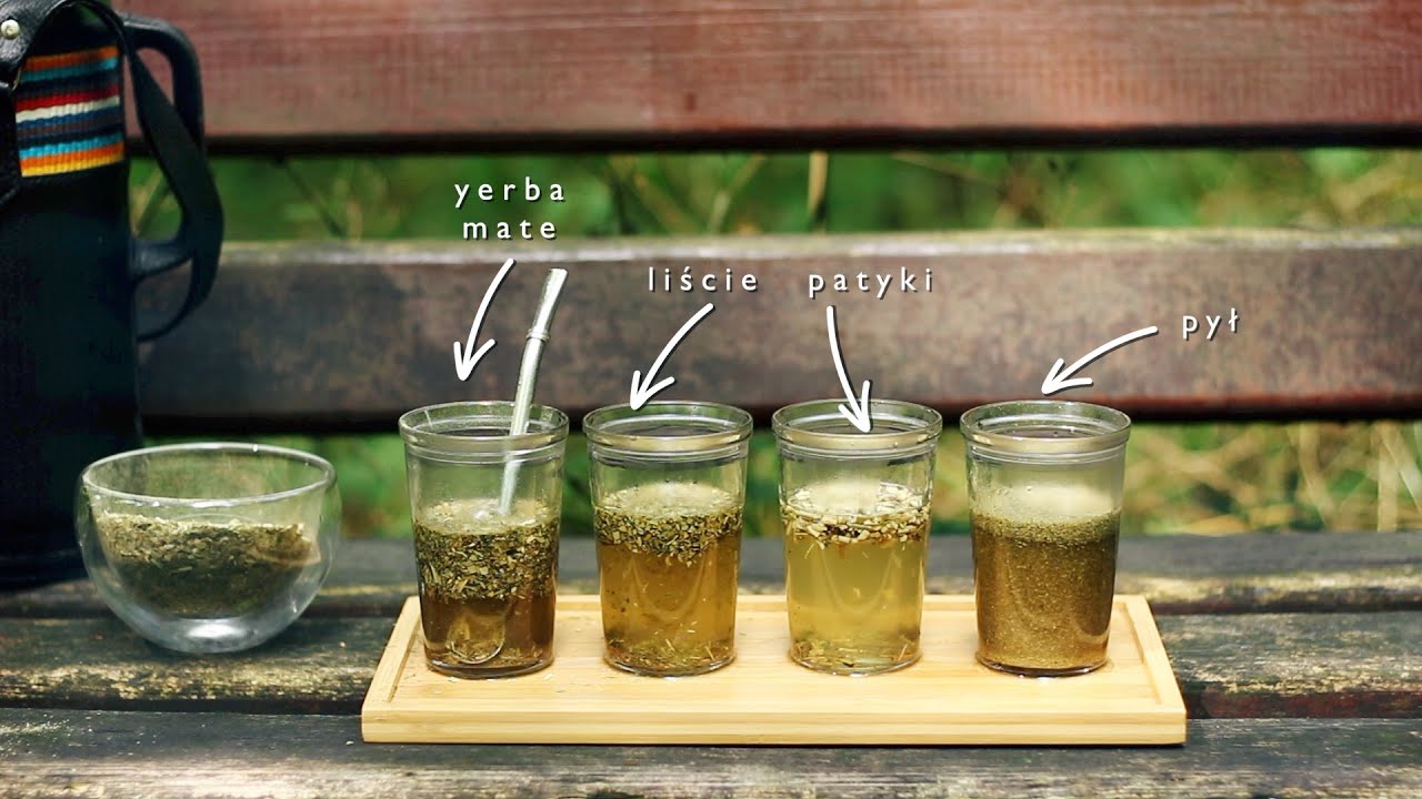 Rozdzieliliśmy yerba mate na liście, patyczki i pył – co smakuje najlepiej?