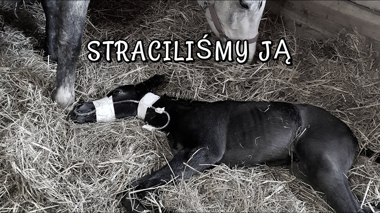 STRACILIŚMY JĄ