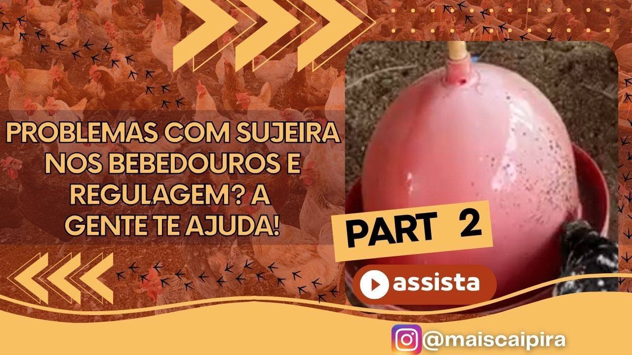PROBLEMAS COM SUJEIRA NOS BEBEDOUROS E REGULAGEM? A GENTE TE AJUDA! part 2
