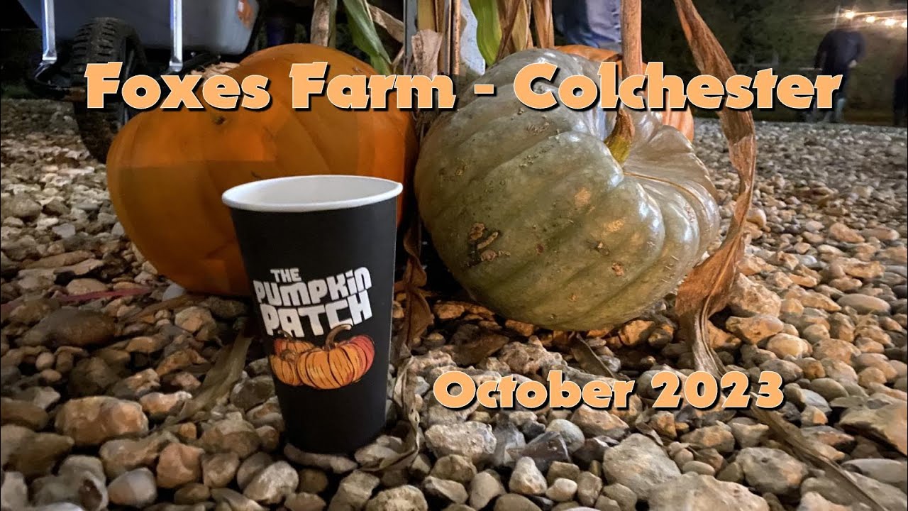 Pumpkin Patch - Foxes Farm Colchester - October 2023
