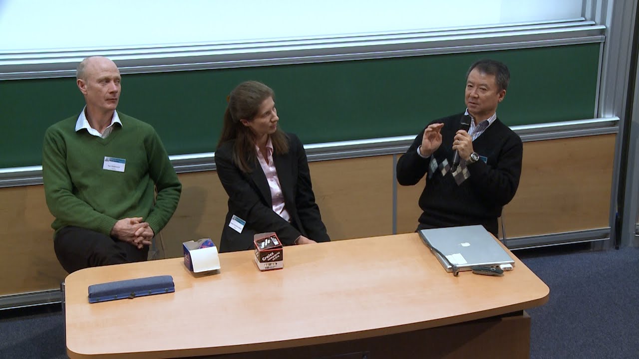 P. FREEMONT, D. TULLMAN-ERCEK, I. HIRAO - Discussion