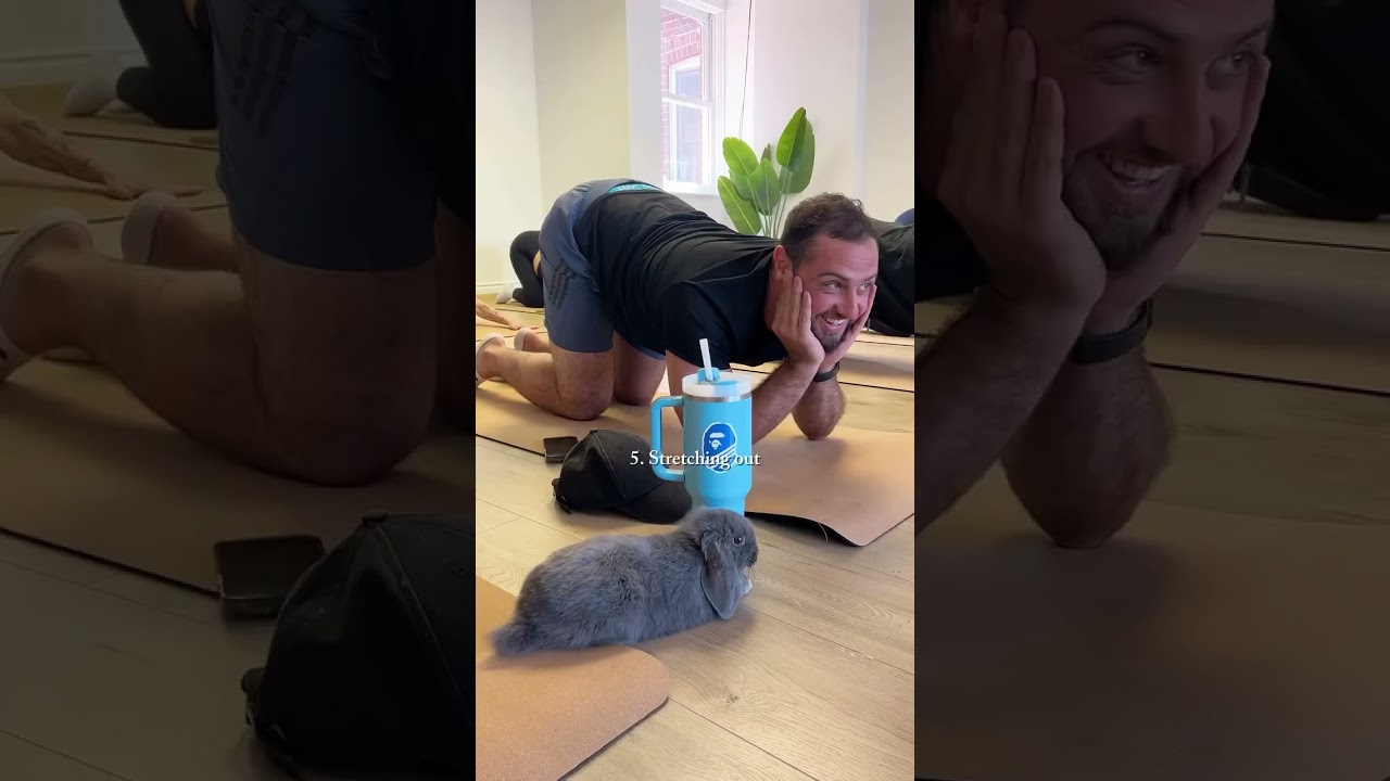 5 ways ways Bunnies show they are relaxed #bunny #bunnyyoga #bunnystory