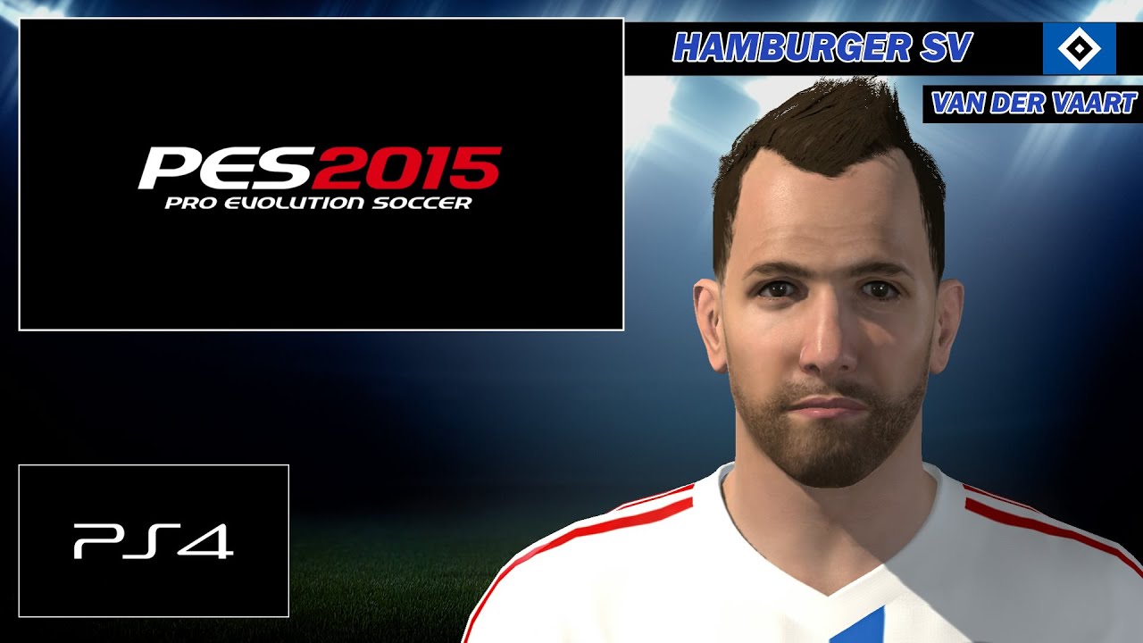 VAN DER VAART  (Hamburger SV)