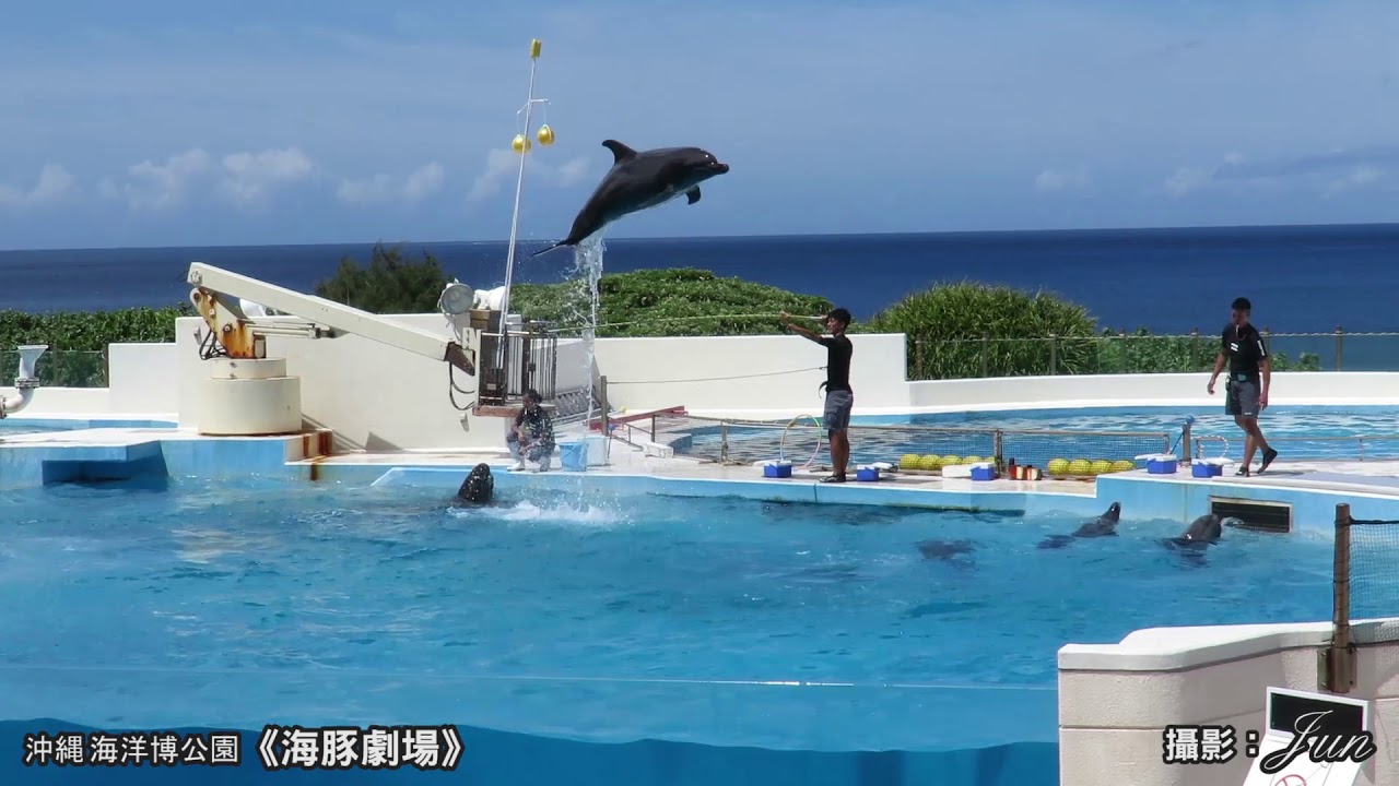 沖繩海洋博公園《海豚劇場》/沖縄海洋博公園《オキちゃん劇場》