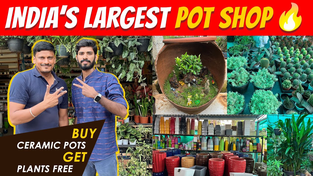 India's Largest Pot Shop In Chennai | Sanjaysamy | Vlog #99