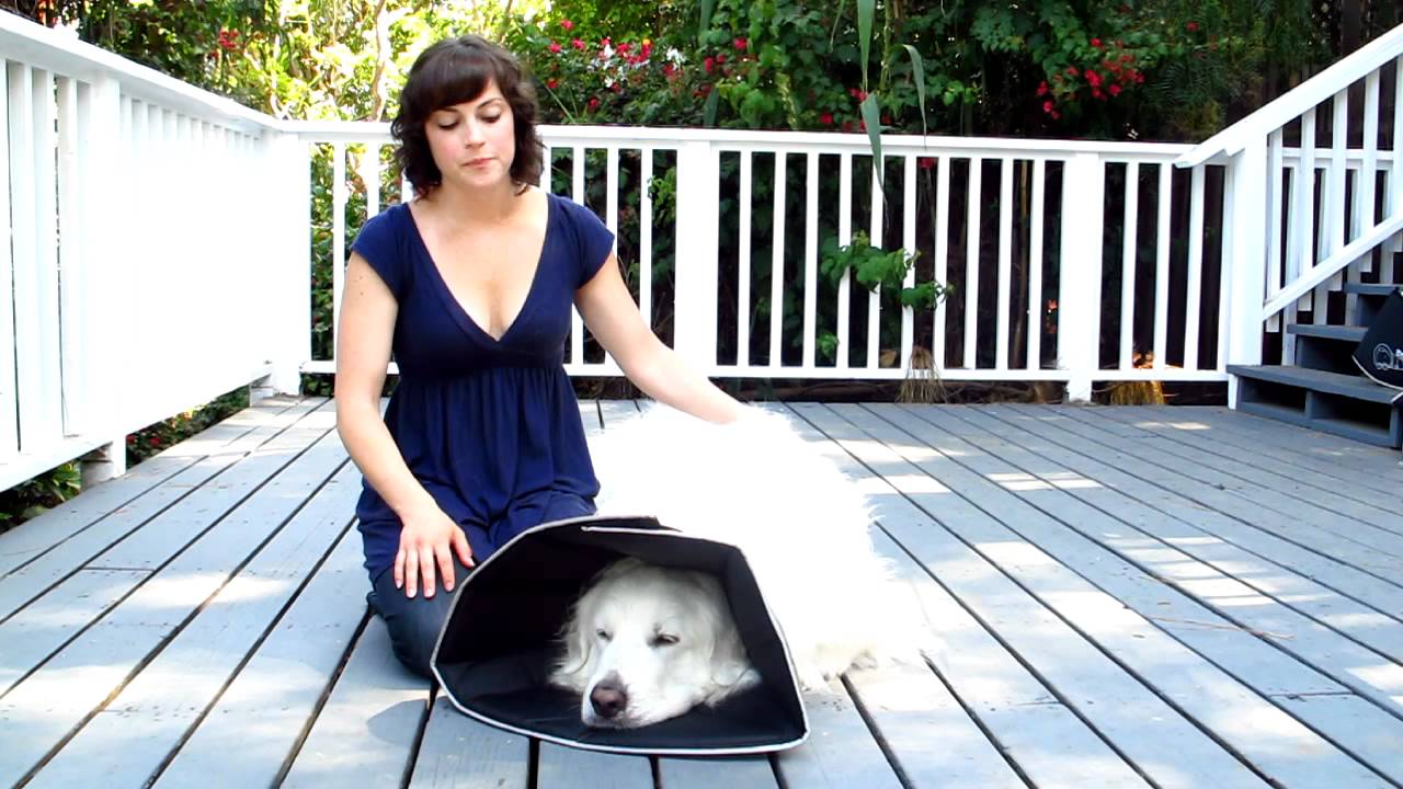 Different Uses For Your Comfy Cone