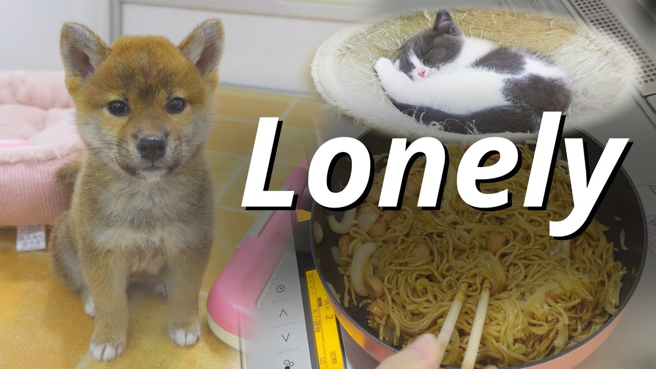 Why I can't own a pet: A Single Mom's grief and healing 🇯🇵