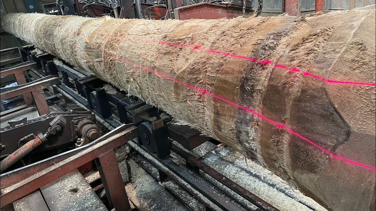 Saw-Milling a 27 foot Poplar 13x9! #76