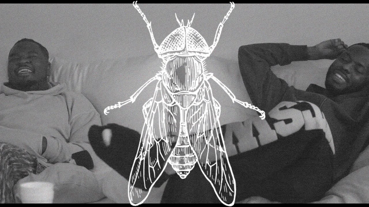A FLY ON THE WALL W/ SWAVAY