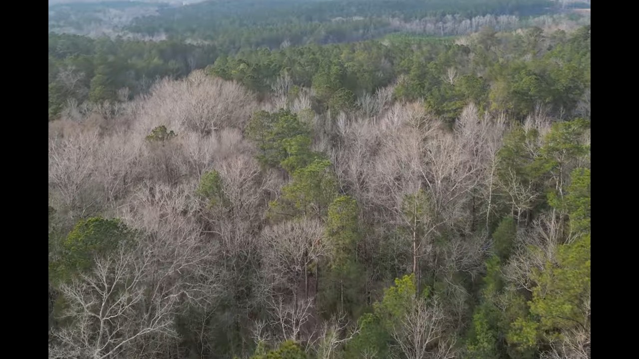 Beautiful, Secluded & Peaceful 20-Acres in Monroe County, Alabama