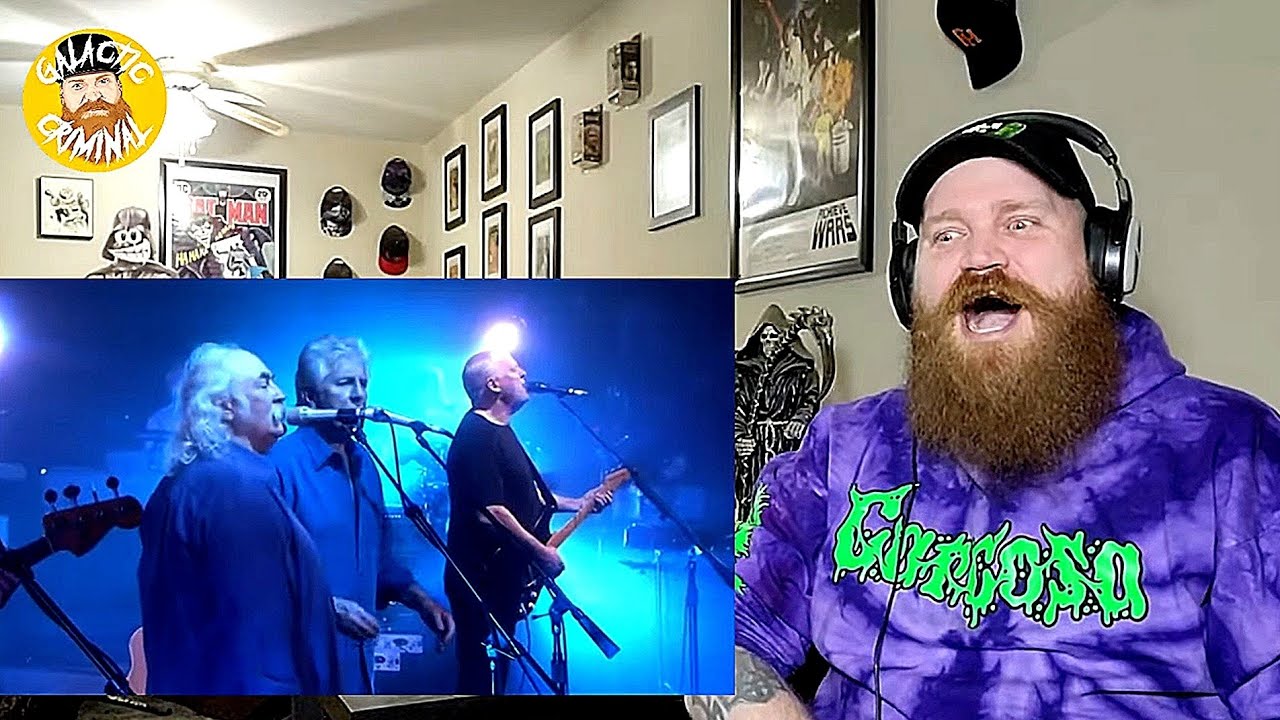 David Gilmour - On An Island (Ft. Crosby & Nash) - Reaction