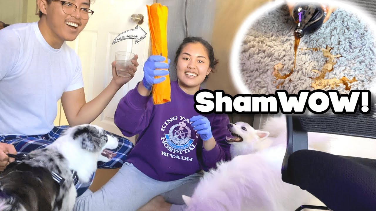Does ShamWow Really Work...?! 😳