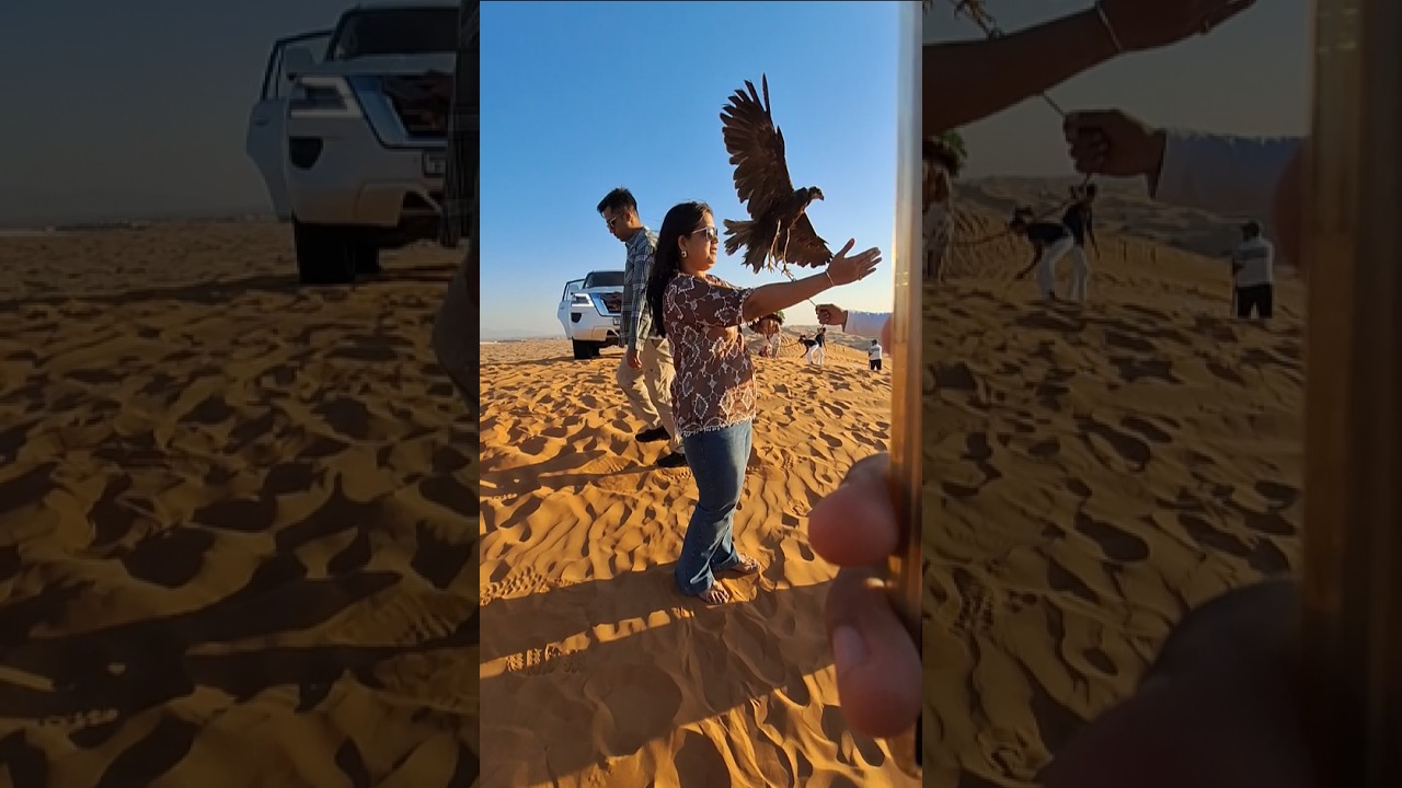 Indian Girl Falcon photo Dubai Desert