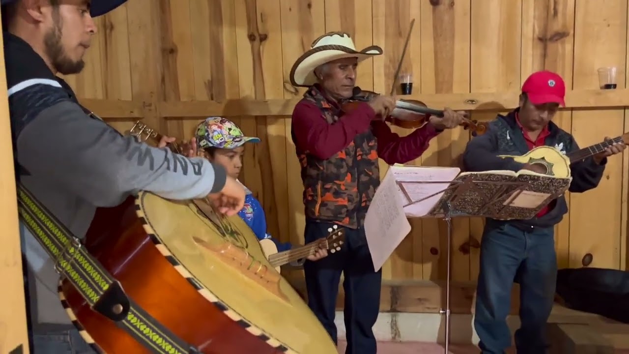 LOS ORIGINALES DE GUERRERO #parati #musica #musicatradicional