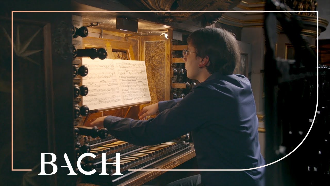 Bach - Duetto no. 1 in E minor BWV 802 - Seeger | Netherlands Bach Society
