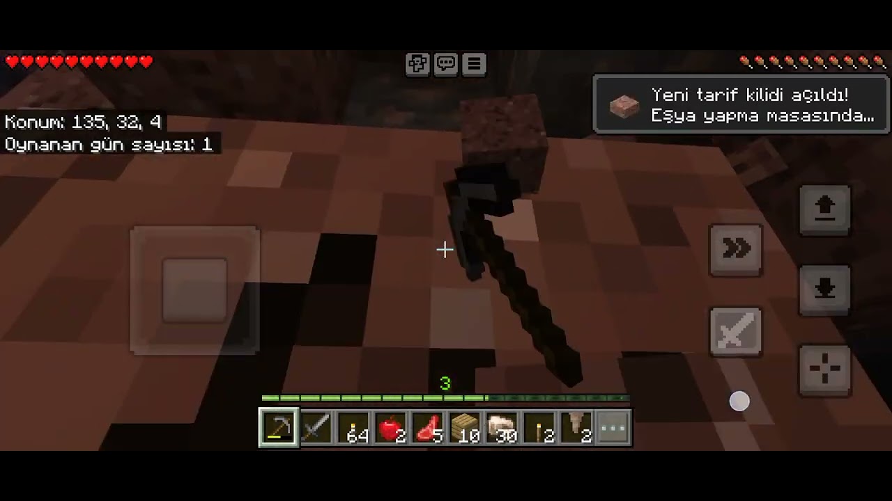 TUANIN MİNECRAFT DÜNYASI BÖLÜM 3
