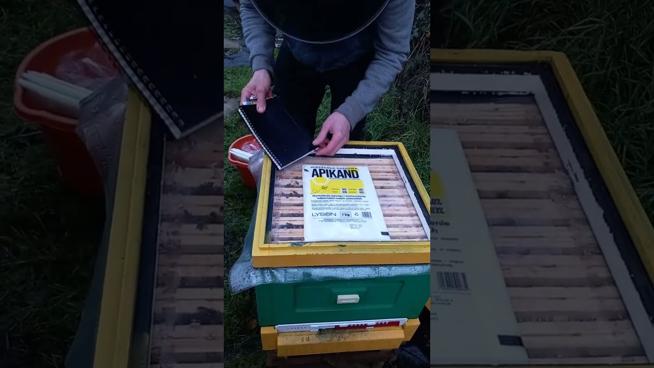 Ciasto w grudniu. Pierwsze zimowe podkarmianie. 