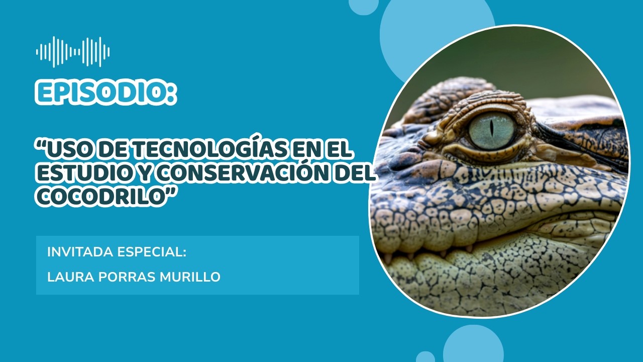 Uso de tecnologías en el estudio y conservación del Cocodrilo