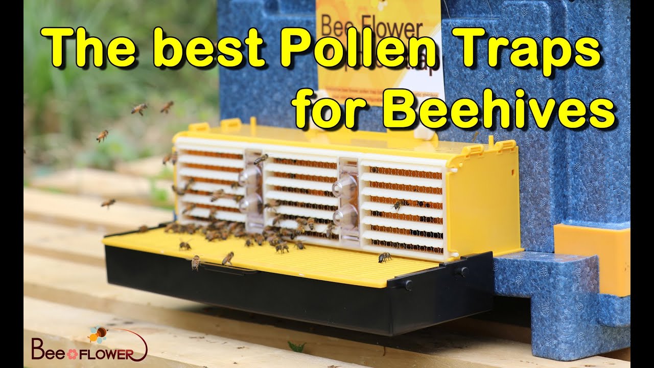BEEFLOWER Pollen traps(The best Pollen Traps for Beehives)